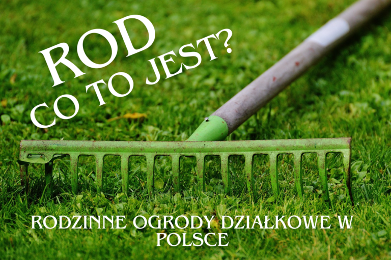 Ogrody ROD w Polsce: Tradycja, Praktyka i Wartości Społeczne