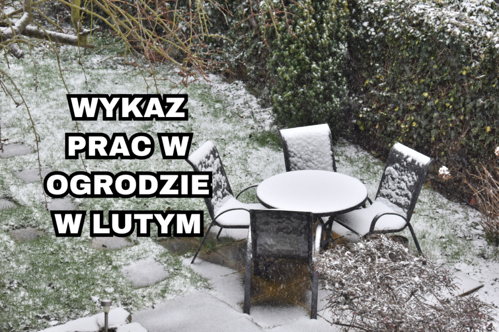 Wykaz Prac W Ogrodzie W Lutym Siła W Naturze 3816