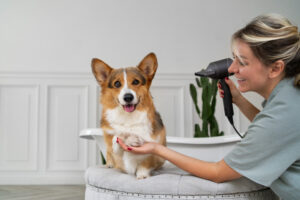 Prawidłowa pielęgnacja psa – jak zadbać o sierść?
